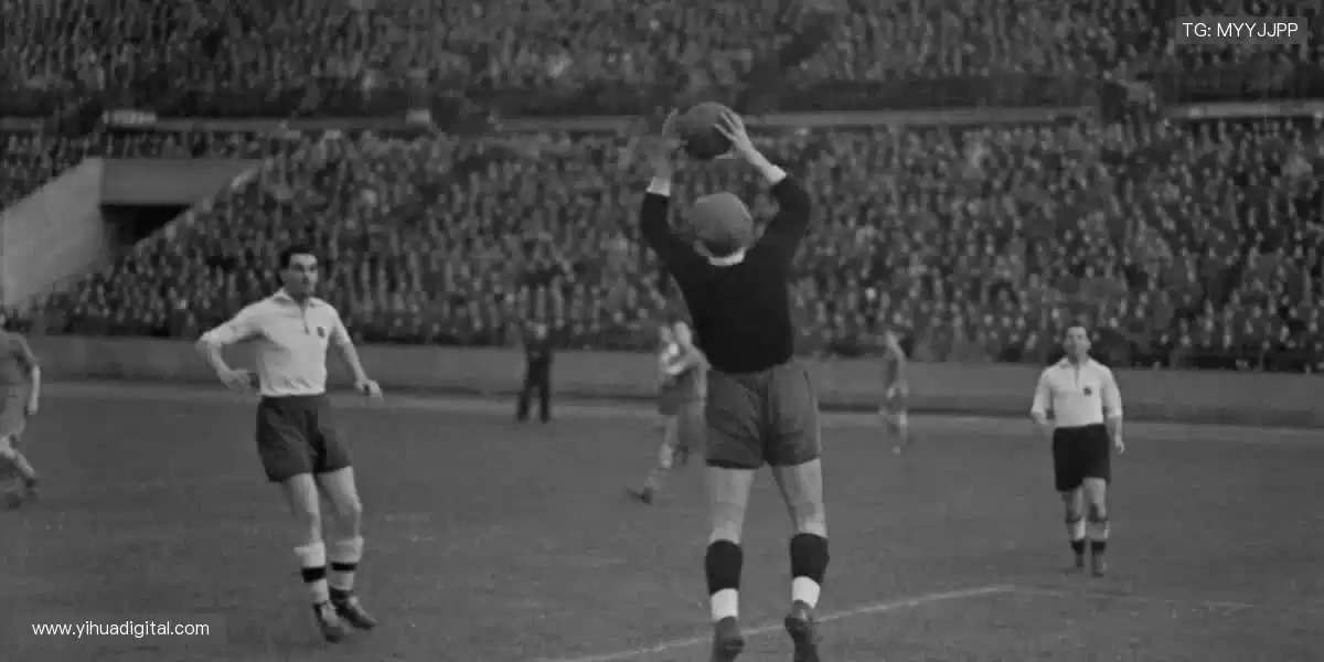 高清直播,细节尽收眼底👀